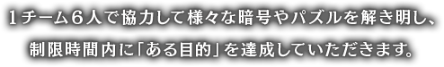 チーム6人で協力して様々な暗号やパズルを解き明し、制限時間内に「ある目的」を達成していただきます。