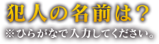 犯人の名前は？※ひらがなで入力してください