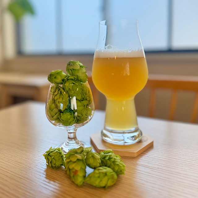 Golden Rabbit Beer
