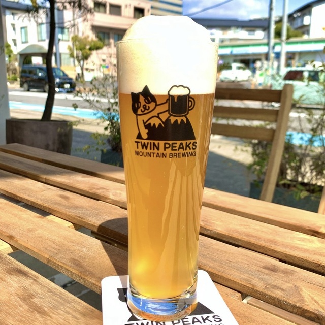 Twin Peaks Mountain Brewing