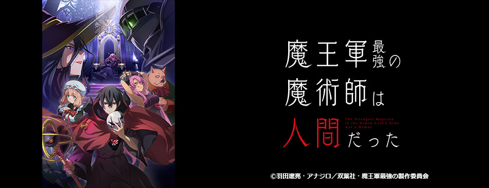 魔王軍最強の魔術師は人間だった
